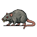 Giant Rat