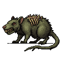 Putrid Rat