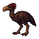 Terrorbird