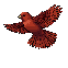 Crimson Swift