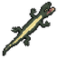Black salamander