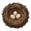 Bird's Nest