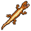 Orange salamander