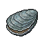 Oyster