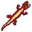 Red salamander