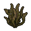 Seaweed