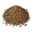 Seeds