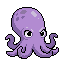 Baby Kraken