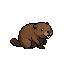 Beaver