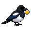 Magpie